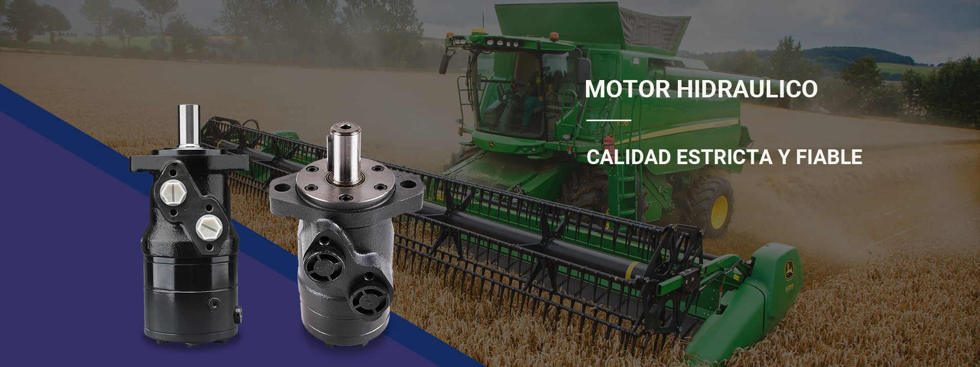 Motor hidraulico